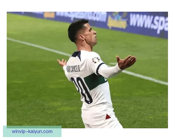 坎塞洛在尤文生涯期间的表现分析与职业发展趋势